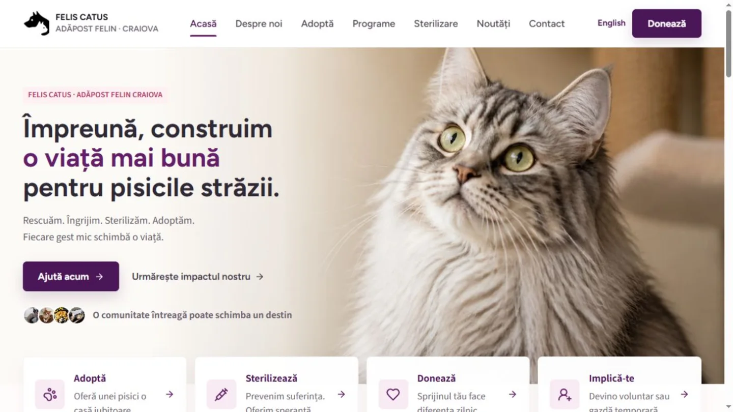 Site-ul Felis Catus, cu informații despre adopții și sprijinirea adăpostului